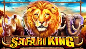 Safari_King