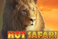 Hot_Safari